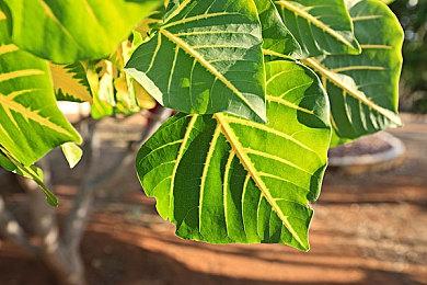 2024年腾讯游戏发布会官宣定档：5月28日